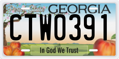 GA license plate CTW0391