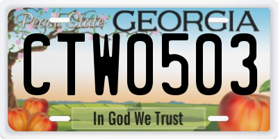 GA license plate CTW0503