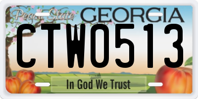 GA license plate CTW0513