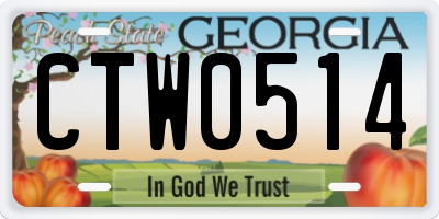 GA license plate CTW0514