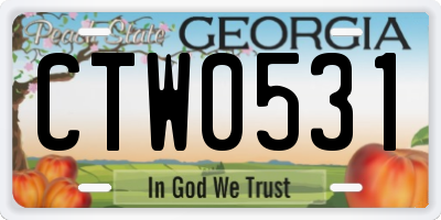 GA license plate CTW0531
