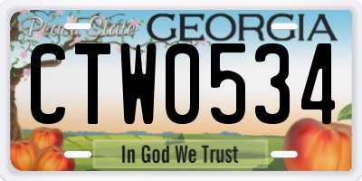 GA license plate CTW0534