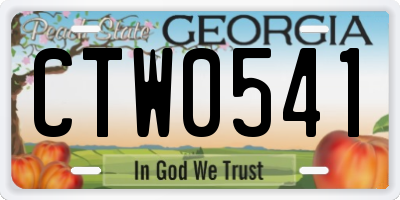 GA license plate CTW0541