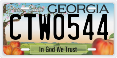 GA license plate CTW0544
