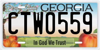 GA license plate CTW0559