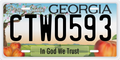 GA license plate CTW0593