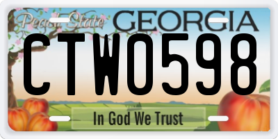 GA license plate CTW0598