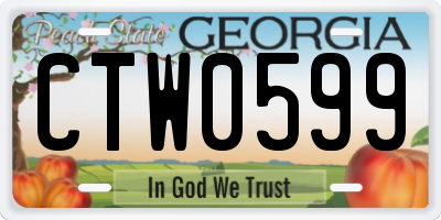 GA license plate CTW0599