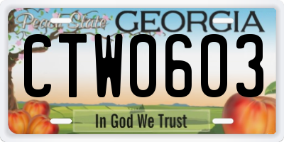 GA license plate CTW0603