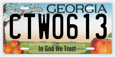 GA license plate CTW0613