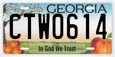 GA license plate CTW0614