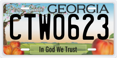 GA license plate CTW0623