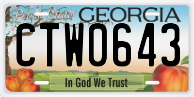 GA license plate CTW0643