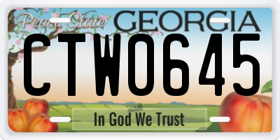 GA license plate CTW0645