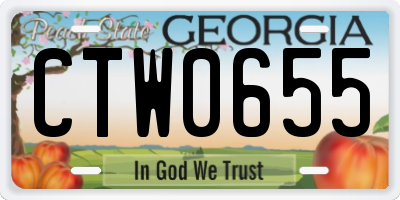 GA license plate CTW0655