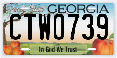 GA license plate CTW0739