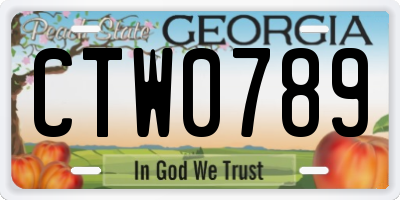 GA license plate CTW0789