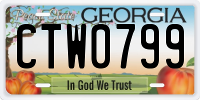 GA license plate CTW0799