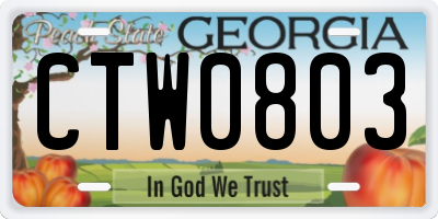 GA license plate CTW0803