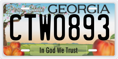 GA license plate CTW0893