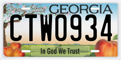 GA license plate CTW0934