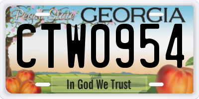 GA license plate CTW0954