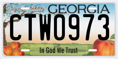 GA license plate CTW0973