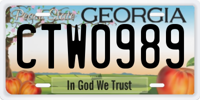 GA license plate CTW0989