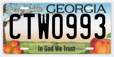 GA license plate CTW0993