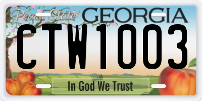 GA license plate CTW1003