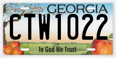 GA license plate CTW1022
