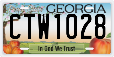 GA license plate CTW1028