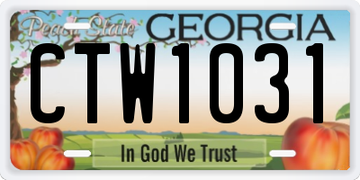 GA license plate CTW1031