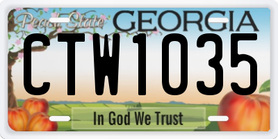 GA license plate CTW1035