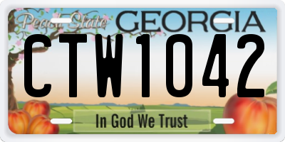GA license plate CTW1042