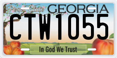 GA license plate CTW1055