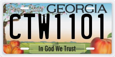GA license plate CTW1101