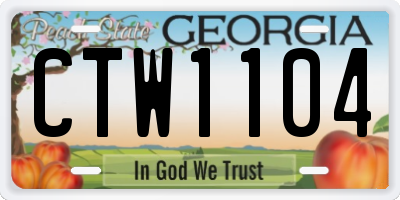 GA license plate CTW1104