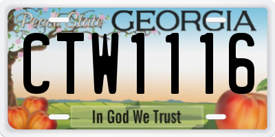 GA license plate CTW1116