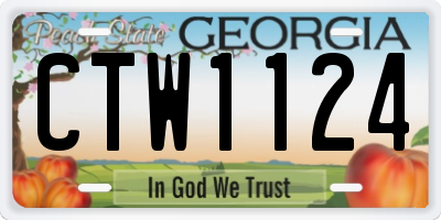 GA license plate CTW1124