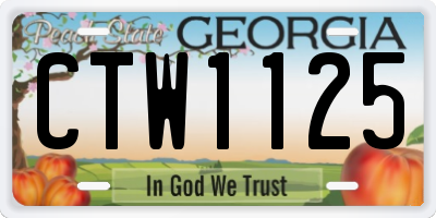 GA license plate CTW1125