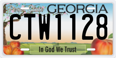 GA license plate CTW1128