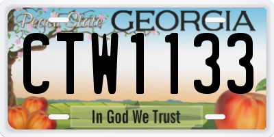 GA license plate CTW1133