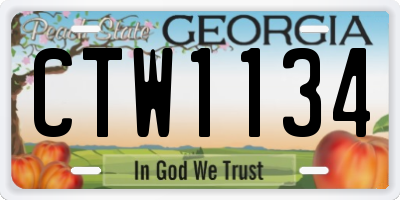 GA license plate CTW1134