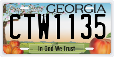 GA license plate CTW1135