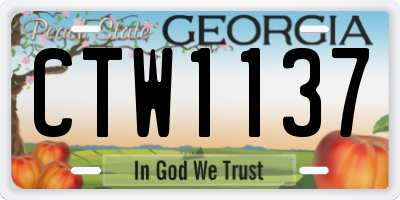 GA license plate CTW1137