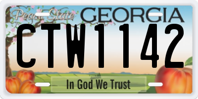 GA license plate CTW1142