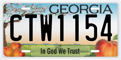 GA license plate CTW1154