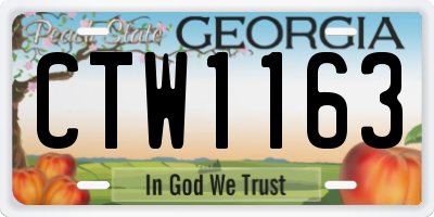 GA license plate CTW1163