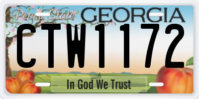 GA license plate CTW1172